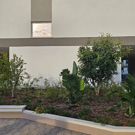 ゲストハウス Vincotto Homes